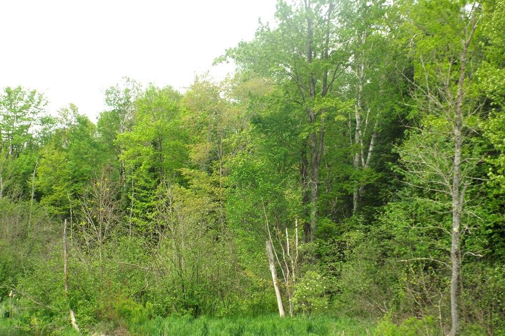 8 Old 8 Road Crandon, WI 54520 - Photo 4 of 7 Gallery Image 4