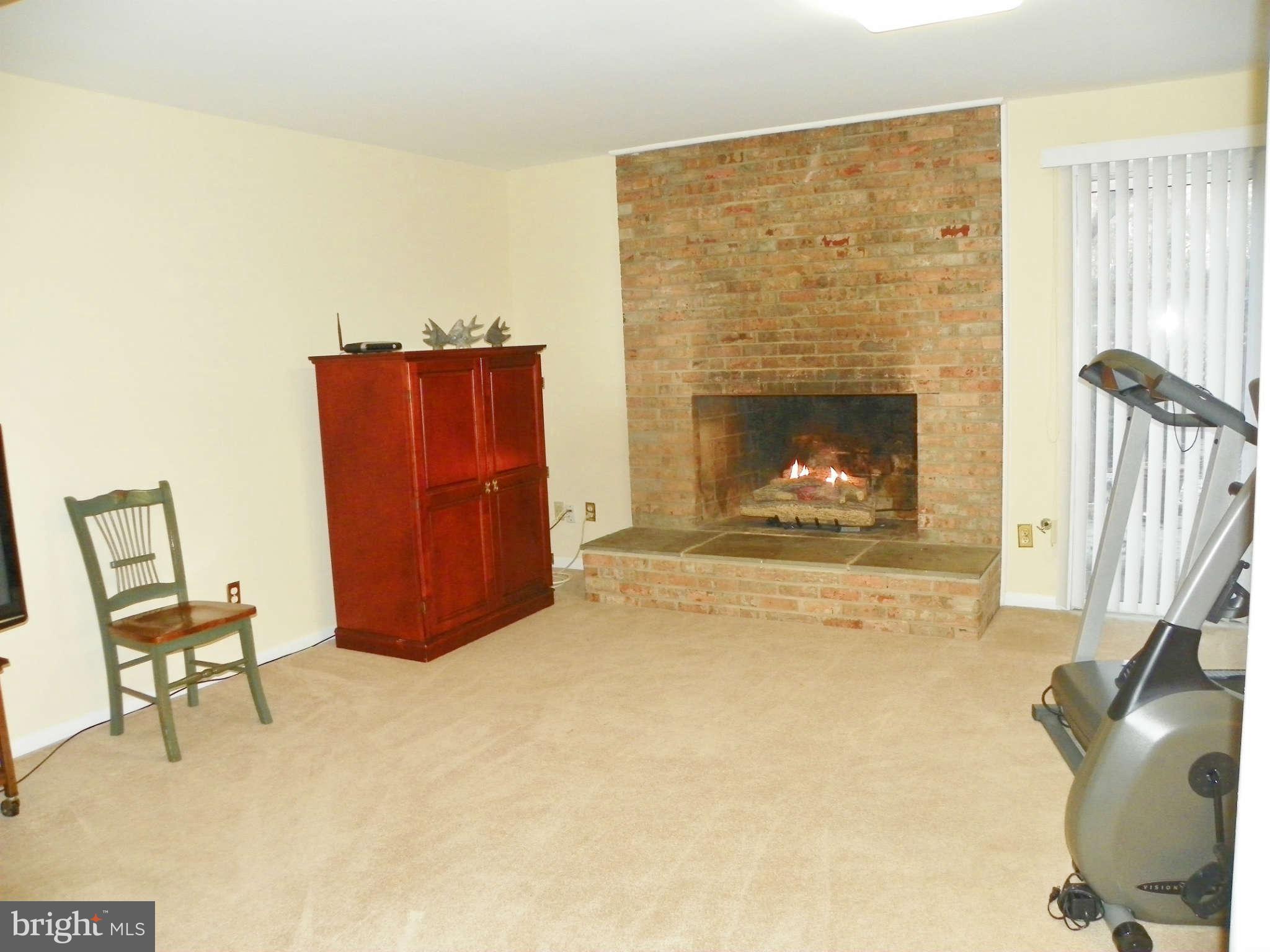11206 Wedge Drive Reston, VA 20190 - Photo 20 of 30 Family Room