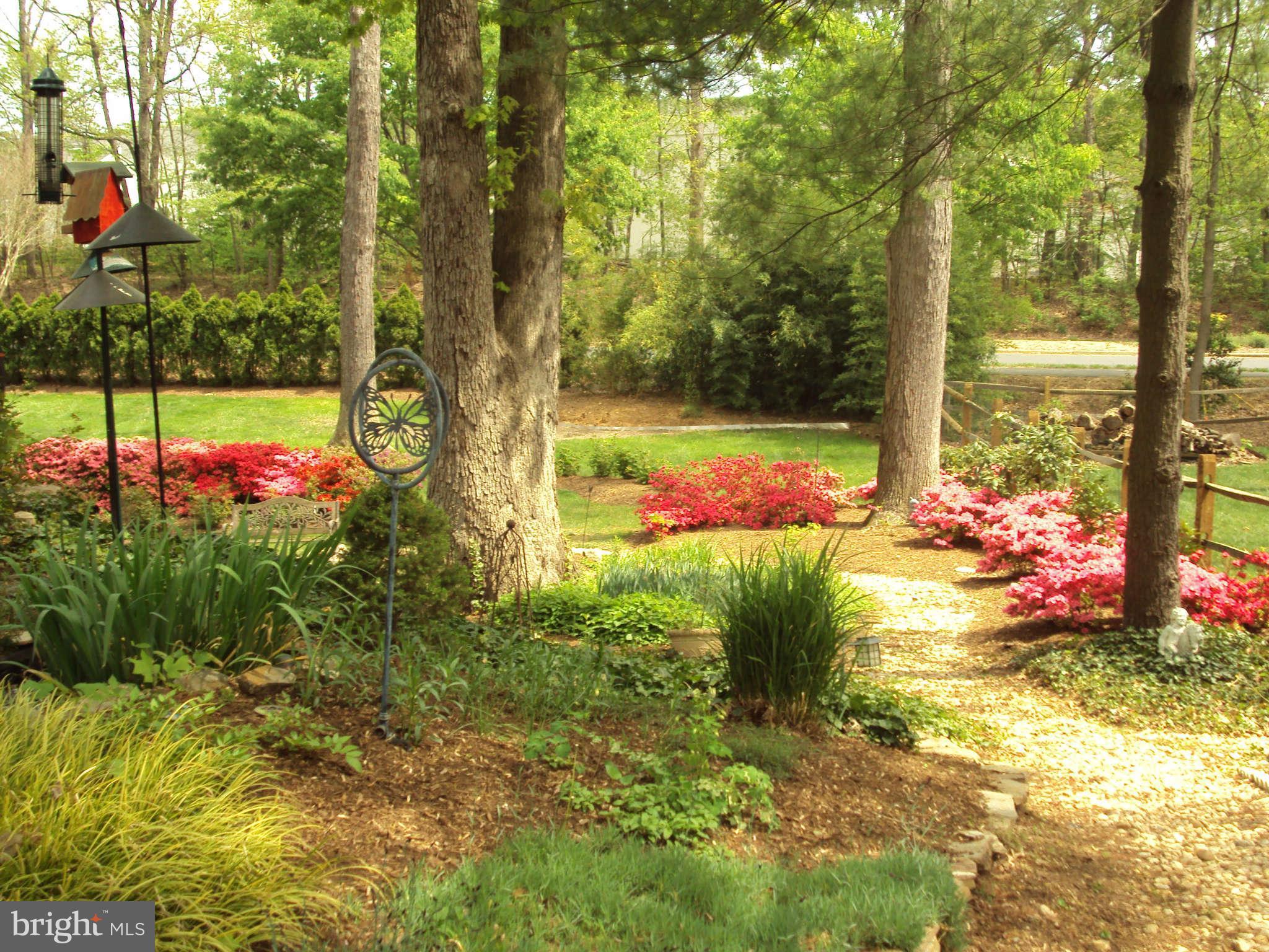 11206 Wedge Drive Reston, VA 20190 - Photo 27 of 30 View