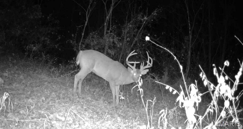 4781 G Road Waterloo, IL 62298 - Photo 84 of 92