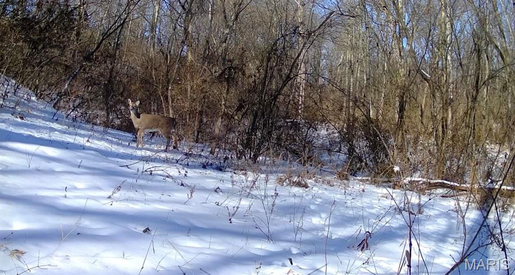 4781 G Road Waterloo, IL 62298 - Photo 85 of 92