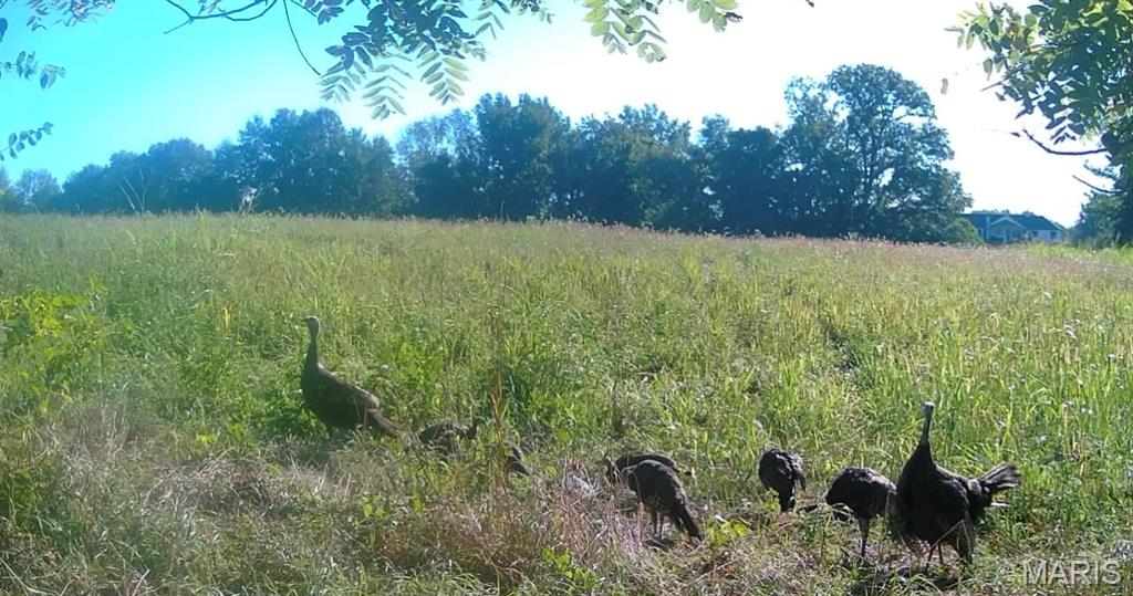 4781 G Road Waterloo, IL 62298 - Photo 86 of 92