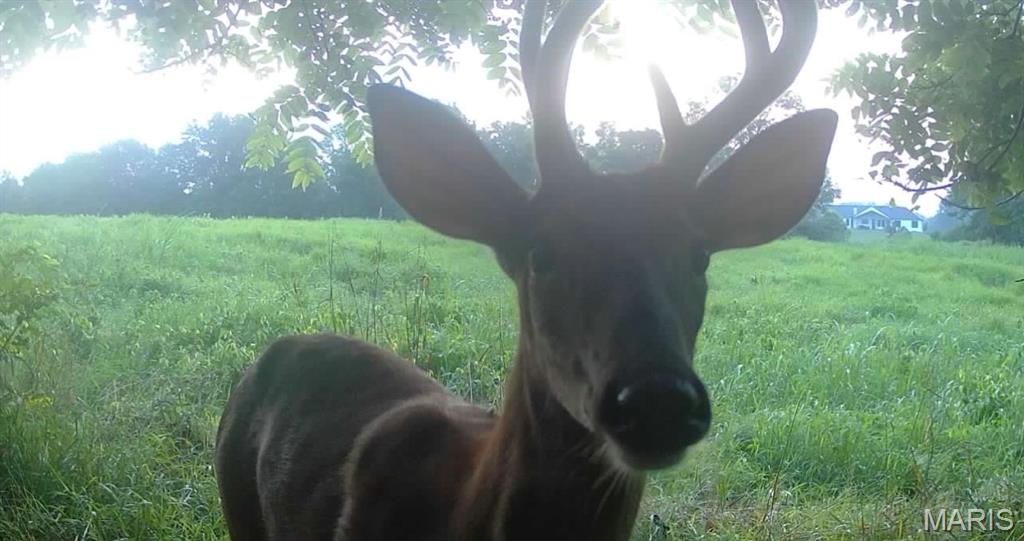 4781 G Road Waterloo, IL 62298 - Photo 87 of 92