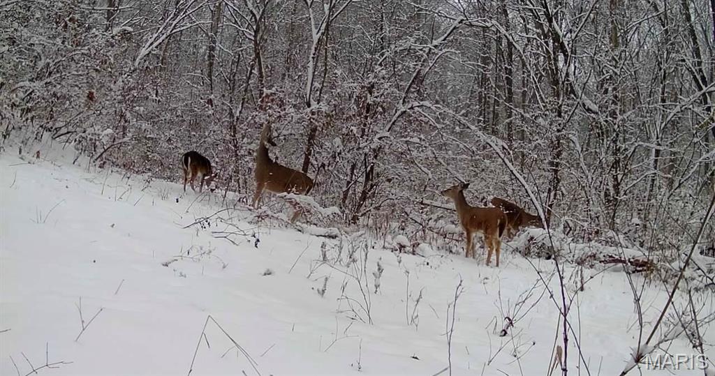 4781 G Road Waterloo, IL 62298 - Photo 88 of 92