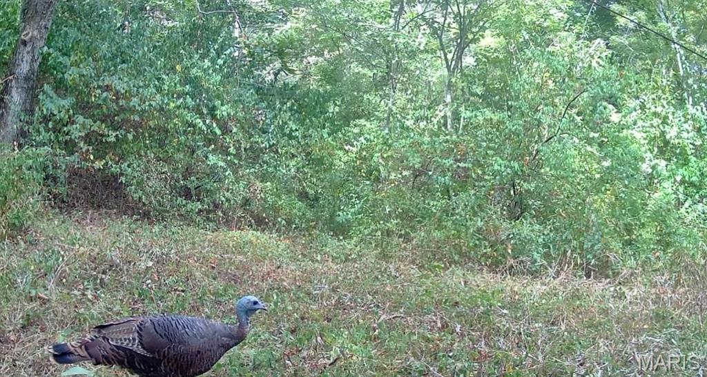 4781 G Road Waterloo, IL 62298 - Photo 91 of 92