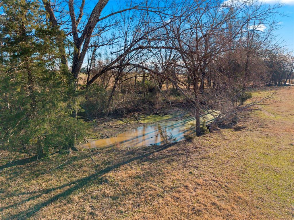 Tbd 4315th Cookville, TX 75558 - Photo 13 of 23 a view of a yard with a tree