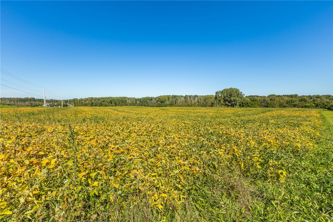 5192 Fox Road Farmington, NY 14522 - Photo 15 of 17 Gallery Image 15