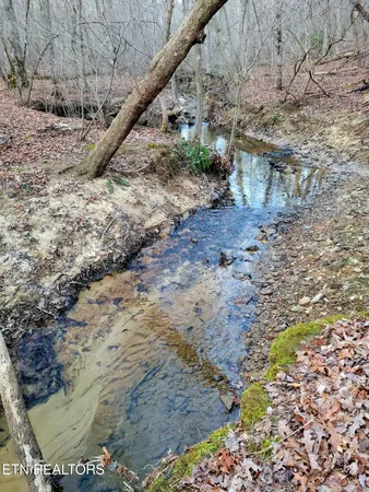 $23,000 | 14 Creek Place, Monterey, TN 38574