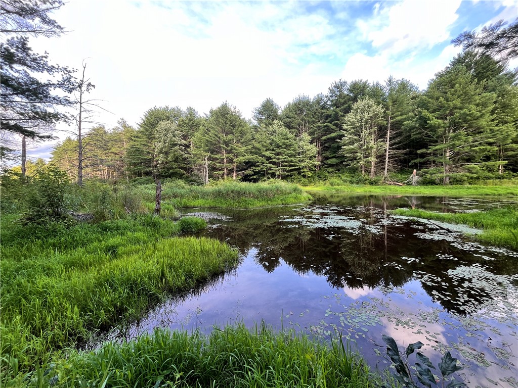 Greenbush Road Erin, NY 14838 - Photo 31 of 38 Gallery Image 31