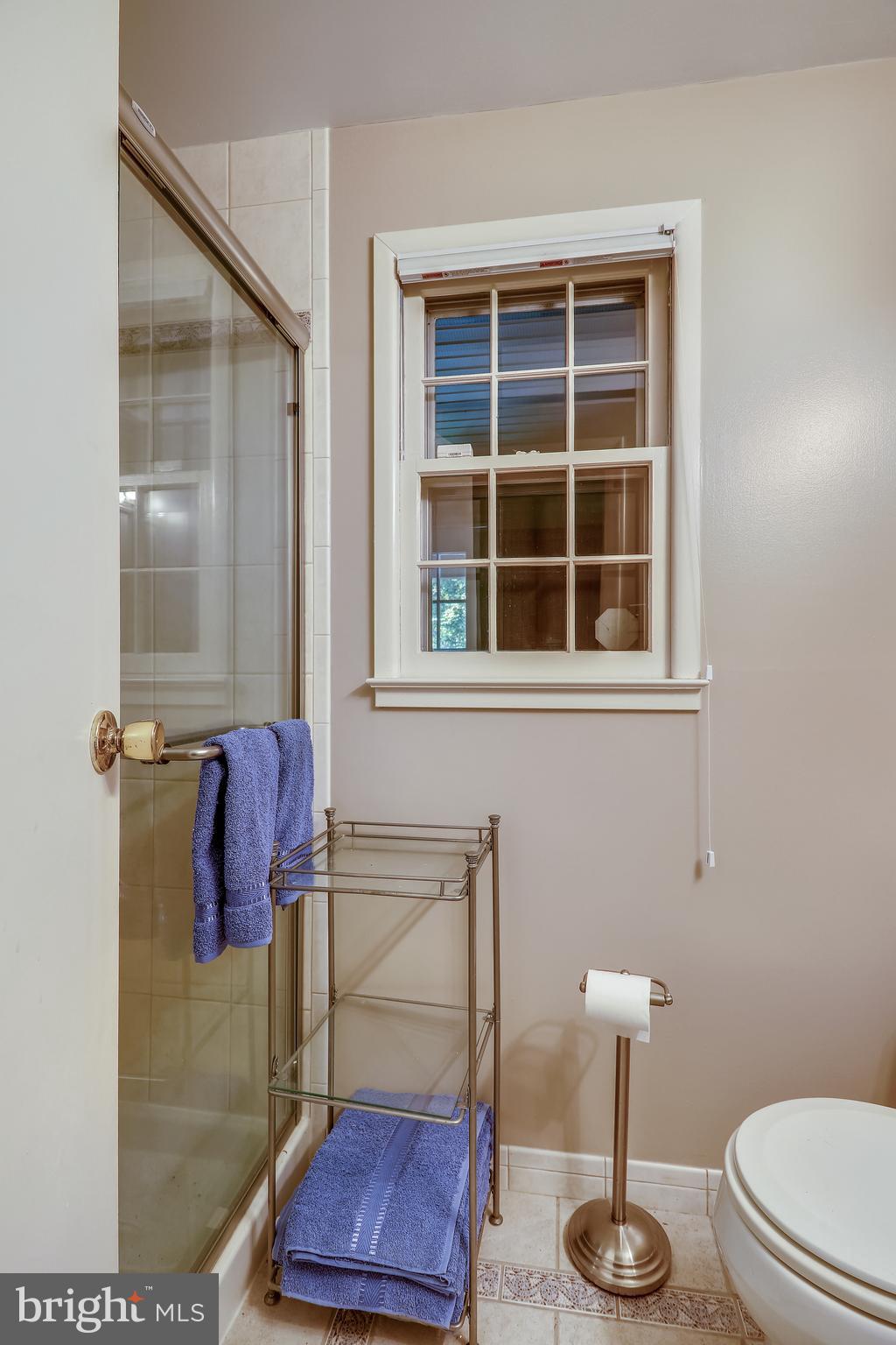 11904 Viewcrest Terrace Silver Spring, MD 20902 - Photo 41 of 52 Full bath in lower level!
