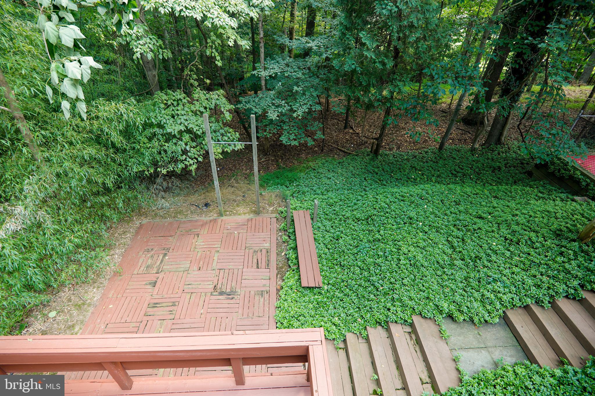 11904 Viewcrest Terrace Silver Spring, MD 20902 - Photo 48 of 52 Backs to the woods!