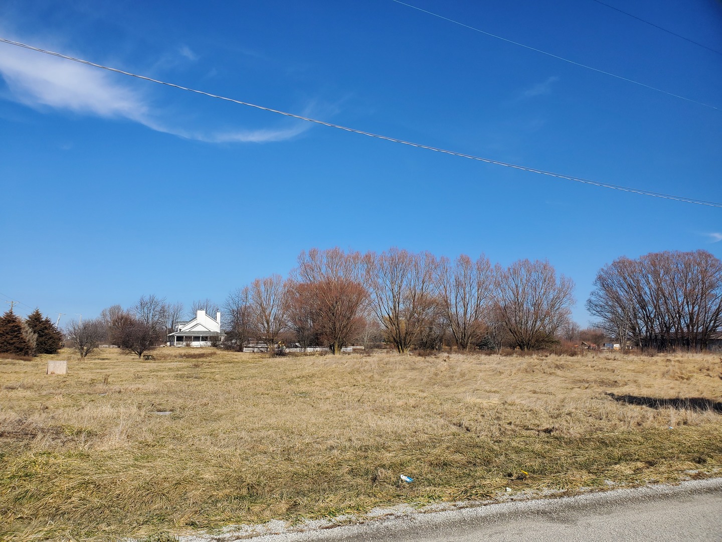 27013 South Center Road Monee, IL 60449 - Photo 4 of 5 a view of a yard