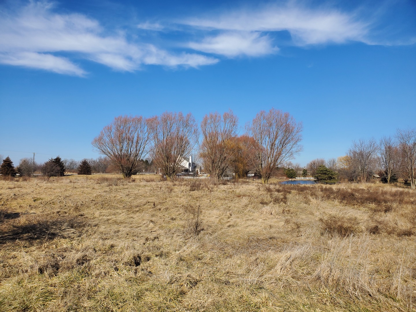 27013 South Center Road Monee, IL 60449 - Photo 5 of 5 a view of a dry yard with wooden fence