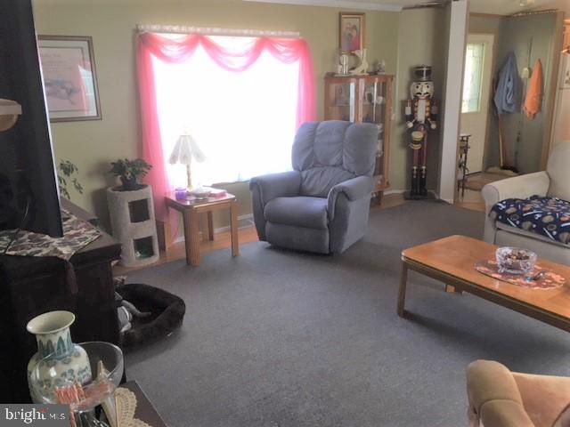 210 Berwick Road Abbottstown, PA 17301 - Photo 13 of 30 Large living room!