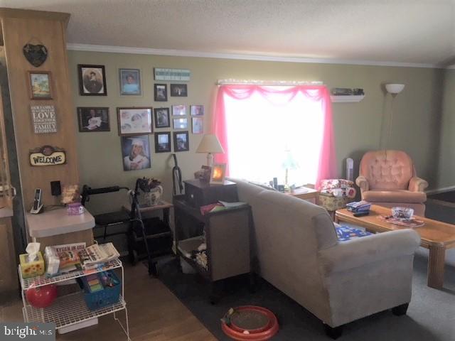 210 Berwick Road Abbottstown, PA 17301 - Photo 14 of 30 Room to relax!