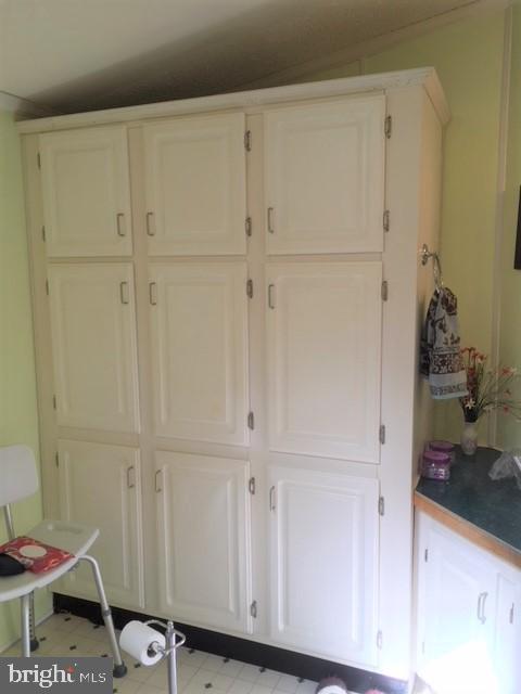 210 Berwick Road Abbottstown, PA 17301 - Photo 20 of 30 Tons of storage cabinets in master bath!!