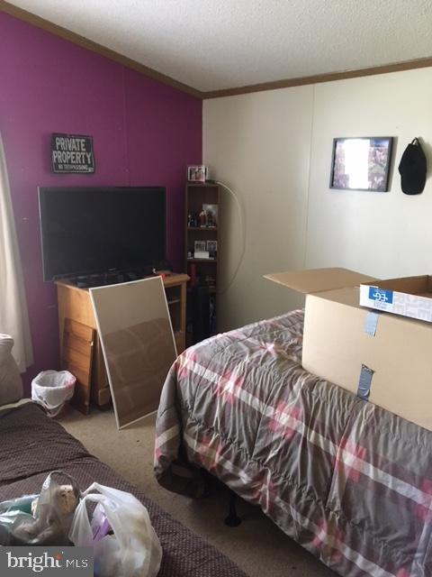 210 Berwick Road Abbottstown, PA 17301 - Photo 23 of 30 Bedroom 2