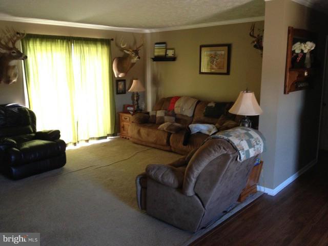 6625 Bailey Store Road Federalsburg, MD 21632 - Photo 3 of 11 Living Room