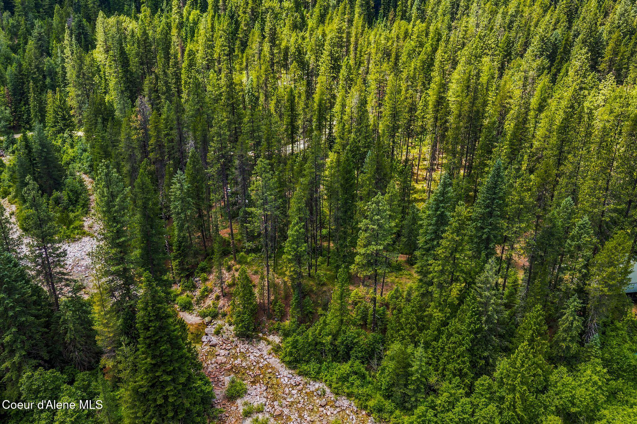 Nna Lantern Lane Sandpoint, ID 83864 - Photo 14 of 29 7_DJI_20260703035444_0904_D