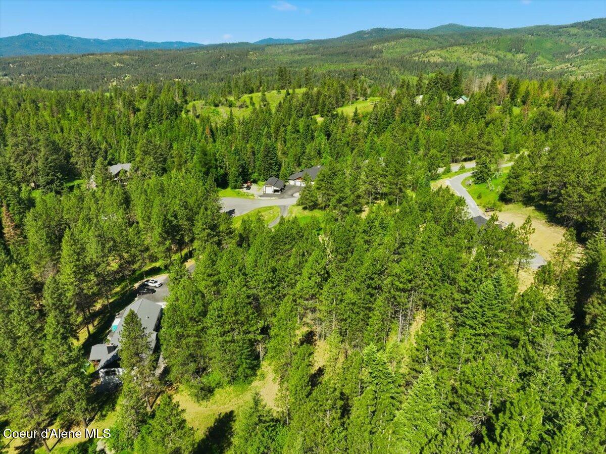 Nka North Saddle Ridge Road Rathdrum, ID 83858 - Photo 7 of 12 07-NKA N Saddle Ridge Rd_RedHogMedia