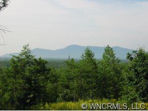 Lot 2 Pinnacle Ridge Drive, Unit 2 Rutherfordton, NC 28746 - Photo 1 of 11 a view of a field