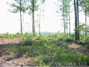 Lot 2 Pinnacle Ridge Drive, Unit 2 Rutherfordton, NC 28746 - Photo 4 of 11 a view of a park