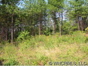 Lot 2 Pinnacle Ridge Drive, Unit 2 Rutherfordton, NC 28746 - Photo 5 of 11