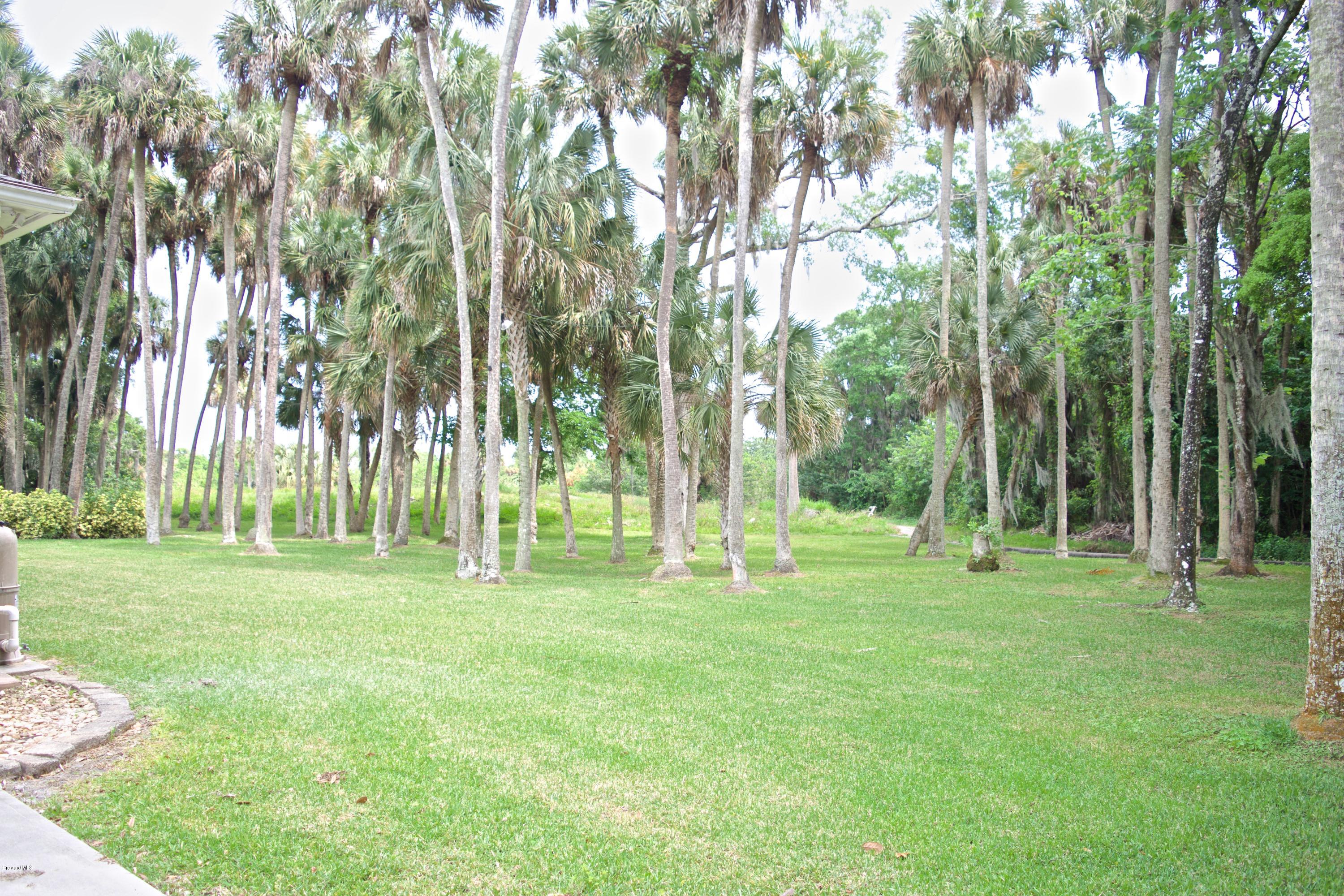 779 Seymour Road Northeast Palm Bay, FL 32905 - Photo 42 of 50 DSC_0726