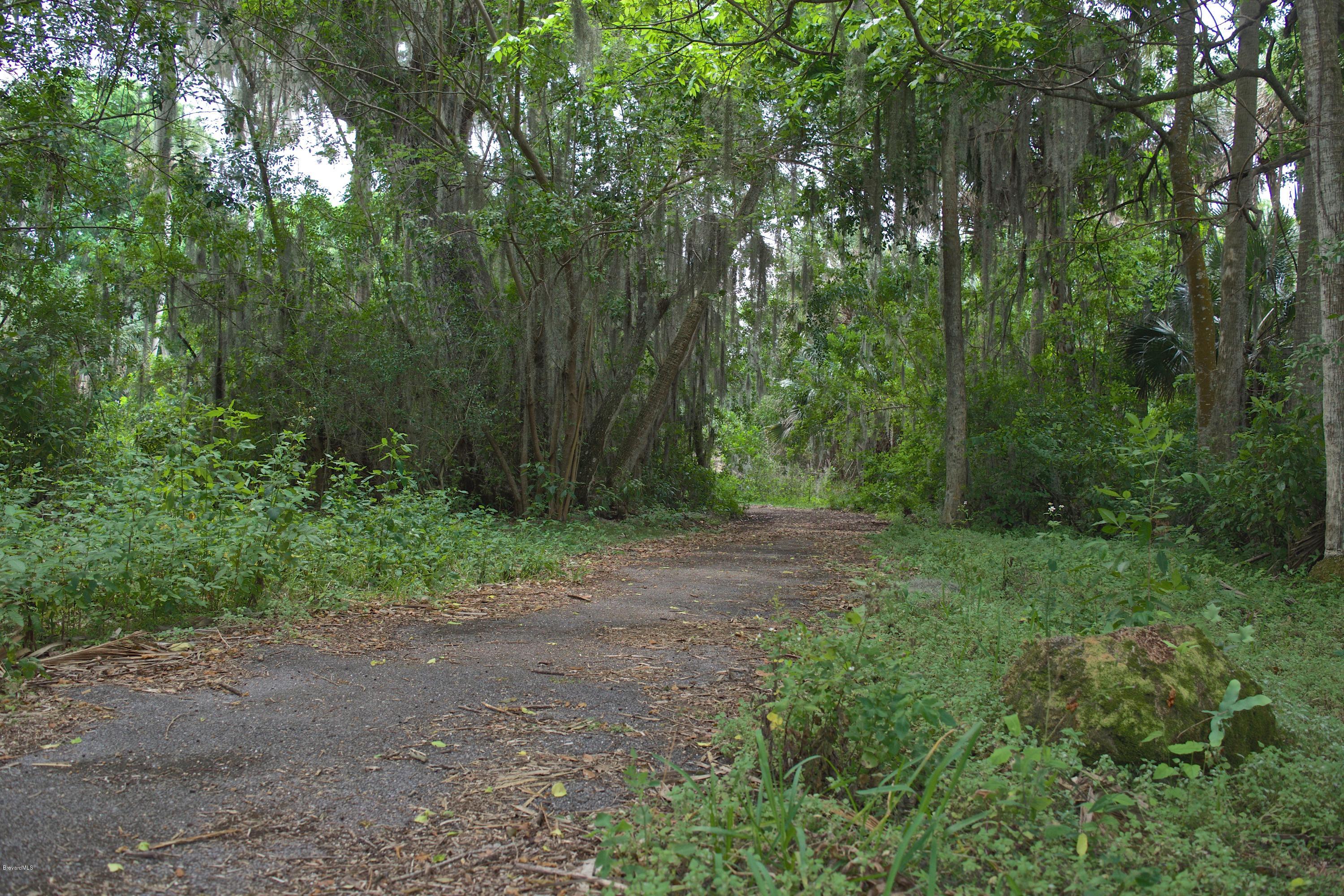 779 Seymour Road Northeast Palm Bay, FL 32905 - Photo 49 of 50 DSC_0731