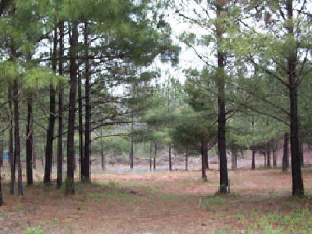 0 Duncan Swindle Road, Unit 7D Commerce, GA 30530 - Photo 1 of 1