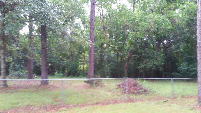 18929 Bull Springs Road Robertsdale, AL 36567 - Photo 24 of 26