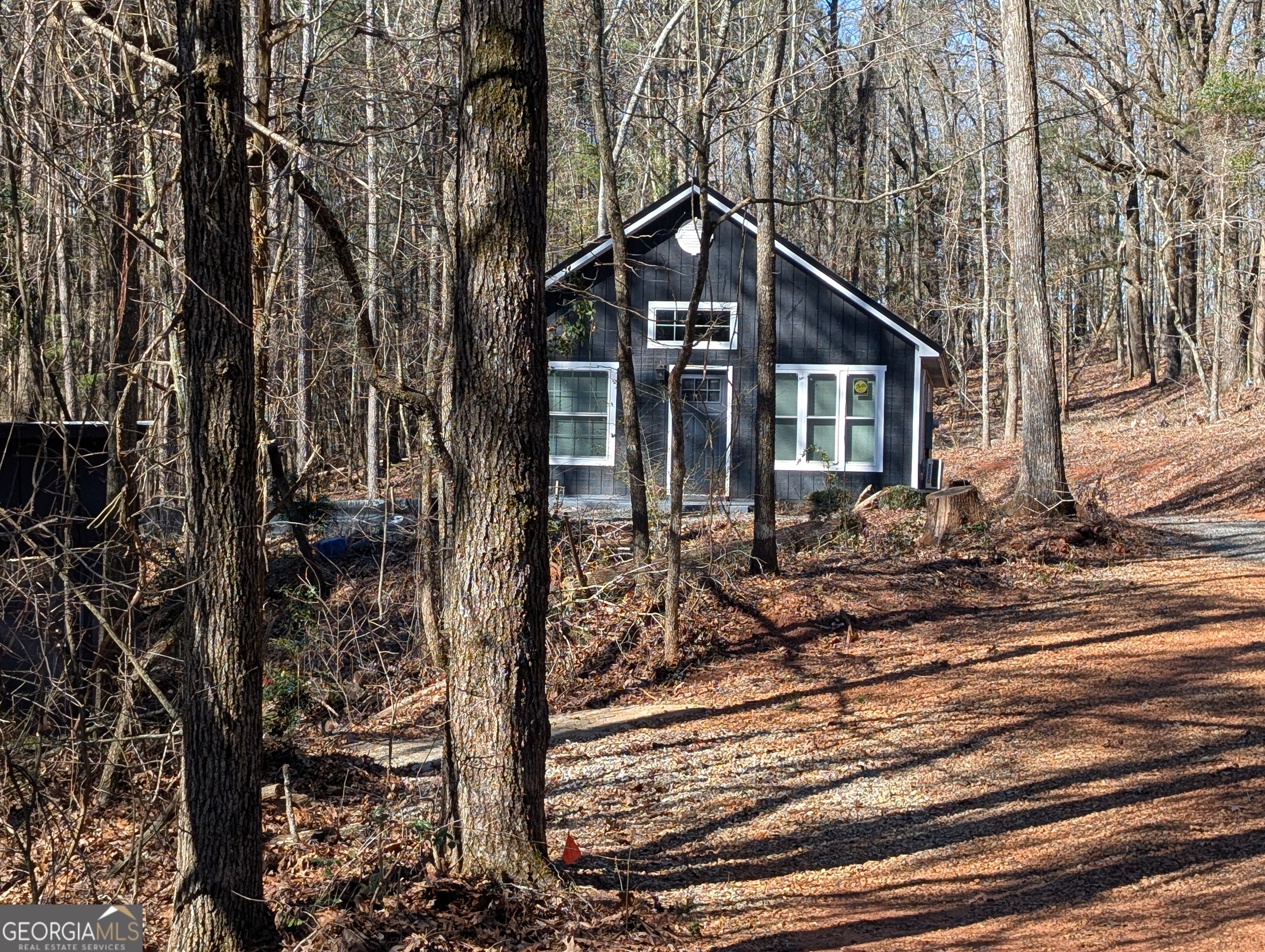 232 Chestnut Grove Road Shiloh, GA 31826 - Photo 2 of 22 a dirt road with trees in front of it