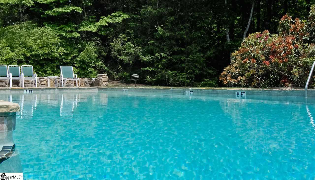 110 Conifer Falls Road Cleveland, SC 29635 - Photo 20 of 36