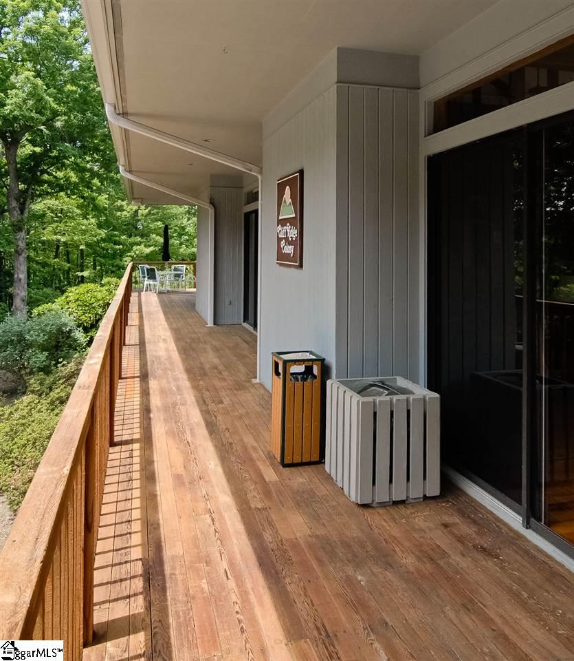 110 Conifer Falls Road Cleveland, SC 29635 - Photo 22 of 36