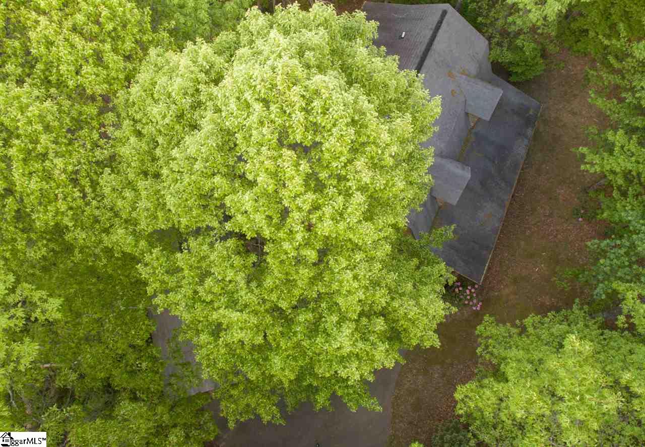 110 Conifer Falls Road Cleveland, SC 29635 - Photo 28 of 36