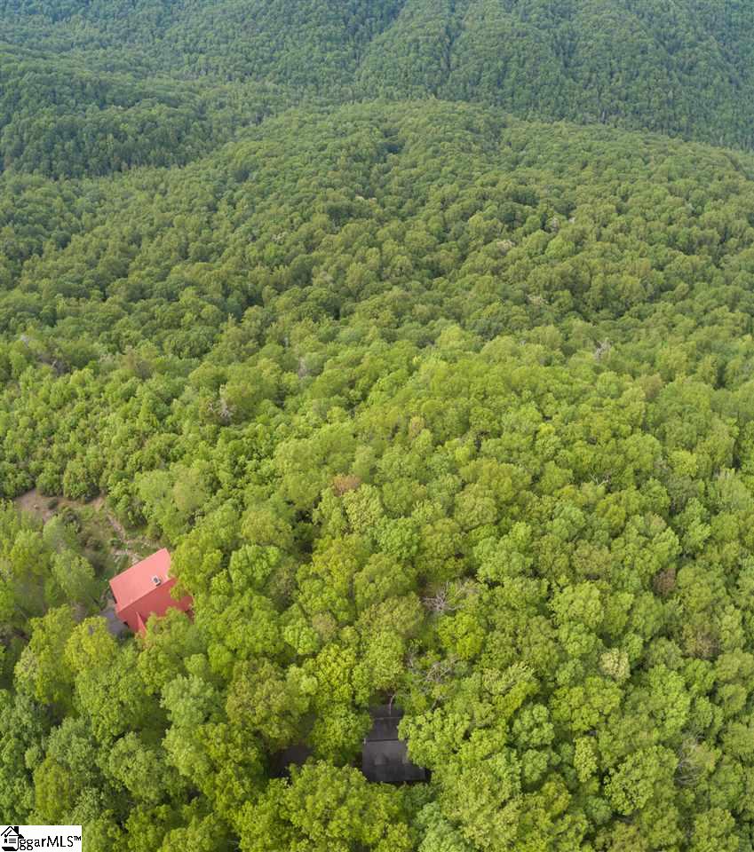 110 Conifer Falls Road Cleveland, SC 29635 - Photo 31 of 36