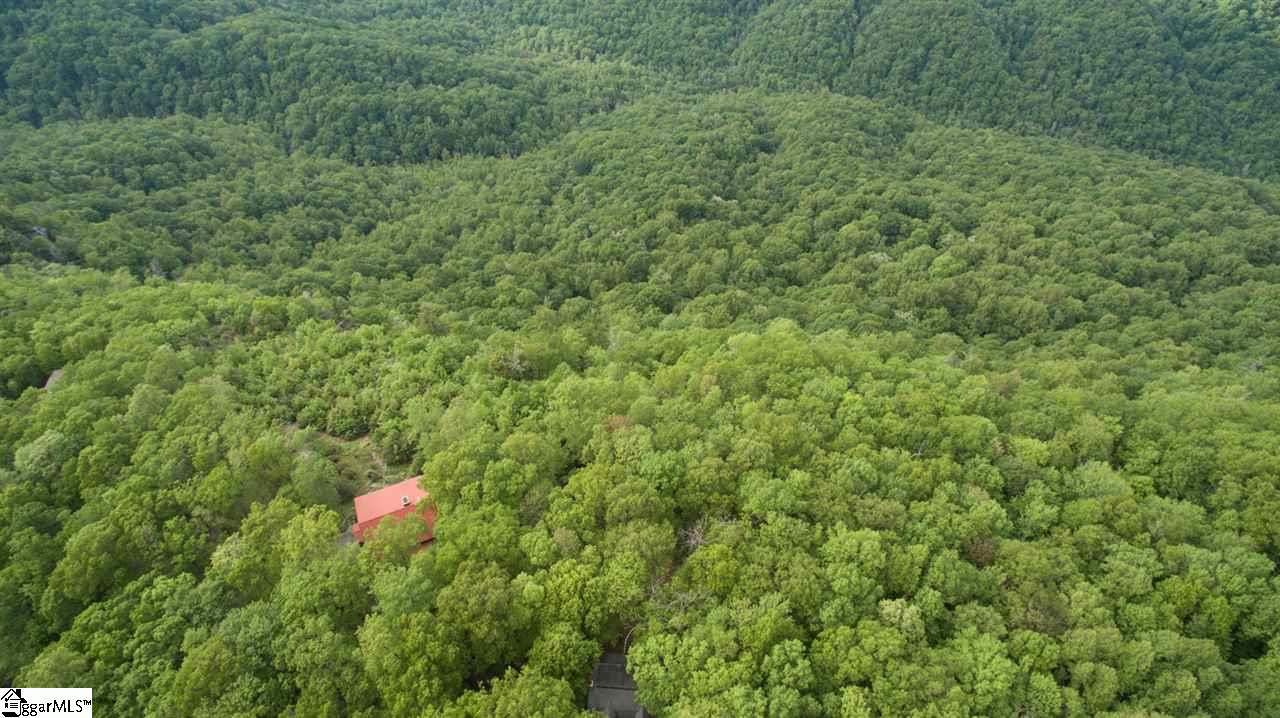 110 Conifer Falls Road Cleveland, SC 29635 - Photo 32 of 36