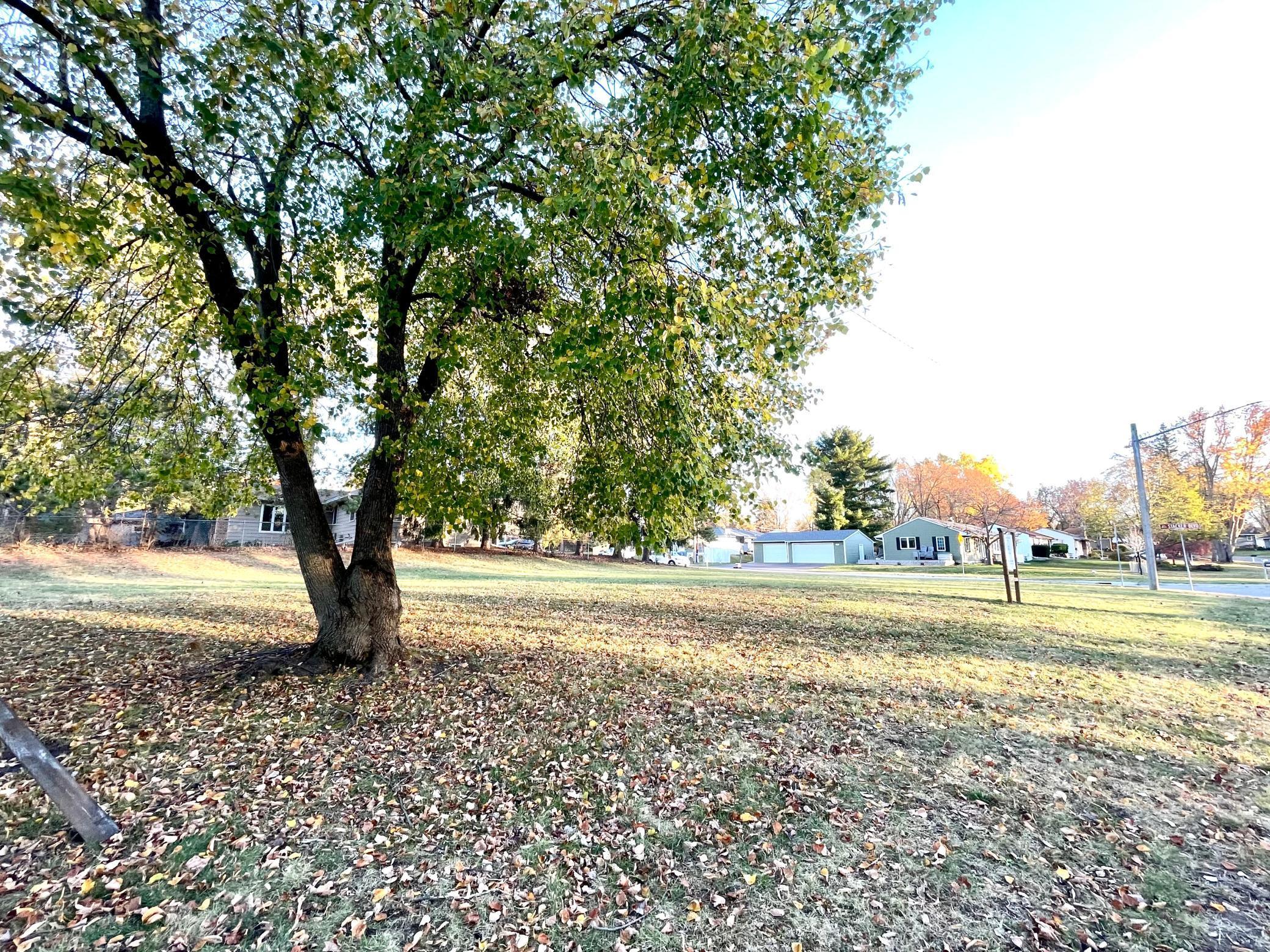 2569 Stacker Boulevard St. Paul, MN 55110 - Photo 4 of 14