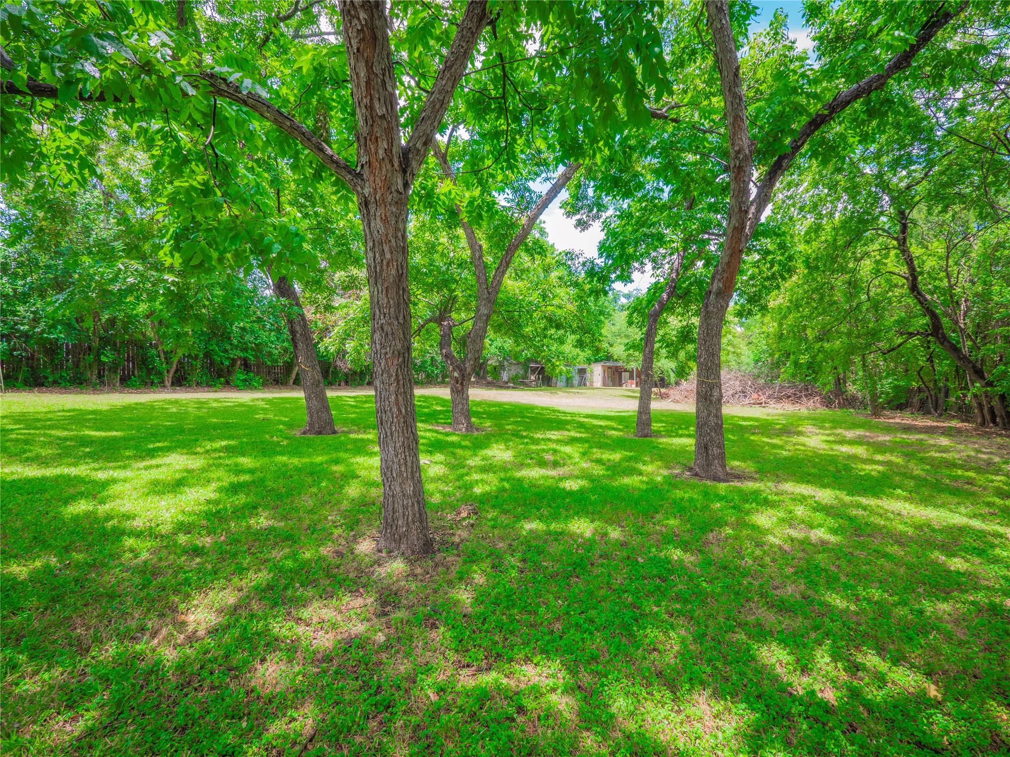 1806 Fortview Road Austin, TX 78704 - Photo 16 of 26 a view of a field with a tree