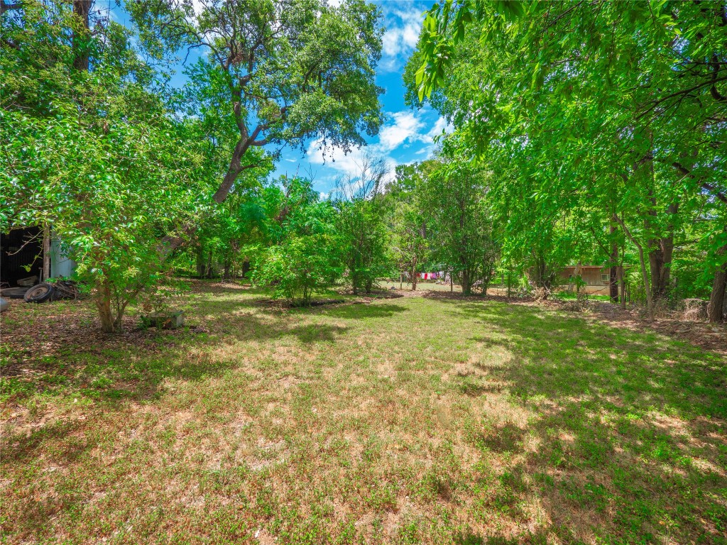 1806 Fortview Road Austin, TX 78704 - Photo 22 of 26 a view of outdoor space with trees all around