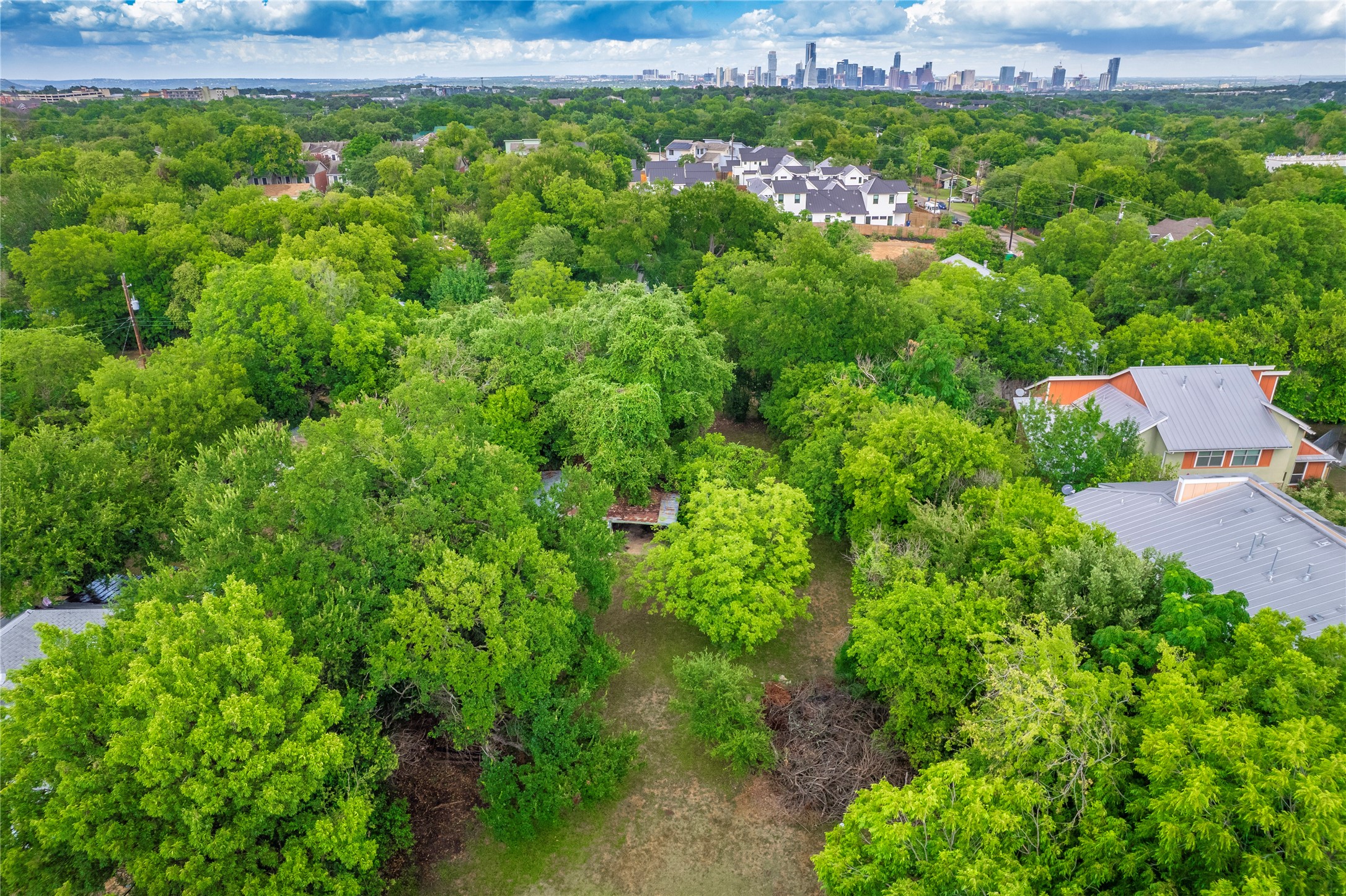 1806 Fortview Road Austin, TX 78704 - Photo 7 of 26 a view of a garden