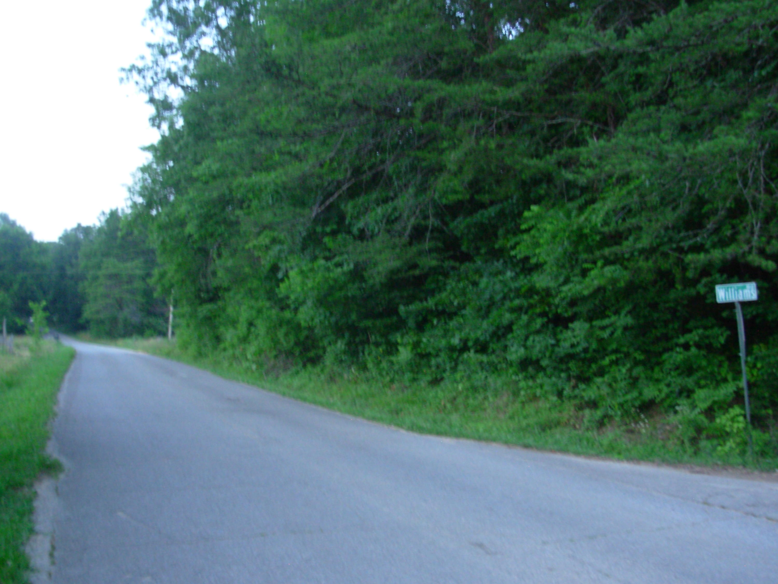 1394 Dry Fork Valley Road Philadelphia, TN 37846 - Photo 11 of 15 land pics 042