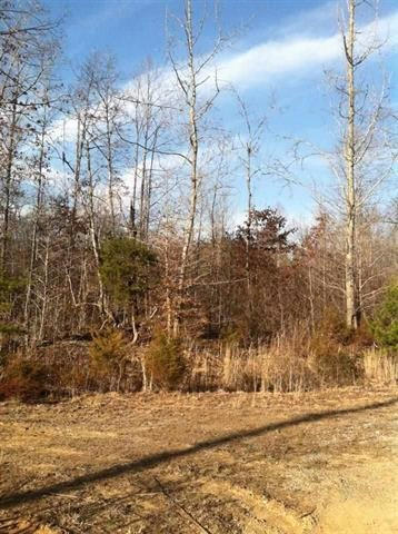 1394 Dry Fork Valley Road Philadelphia, TN 37846 - Photo 4 of 15 RCAR20153225C