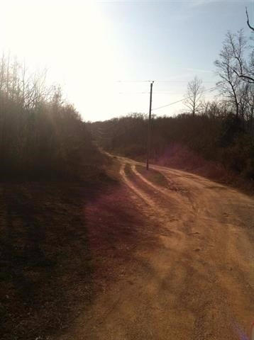 1394 Dry Fork Valley Road Philadelphia, TN 37846 - Photo 5 of 15 RCAR20153225D