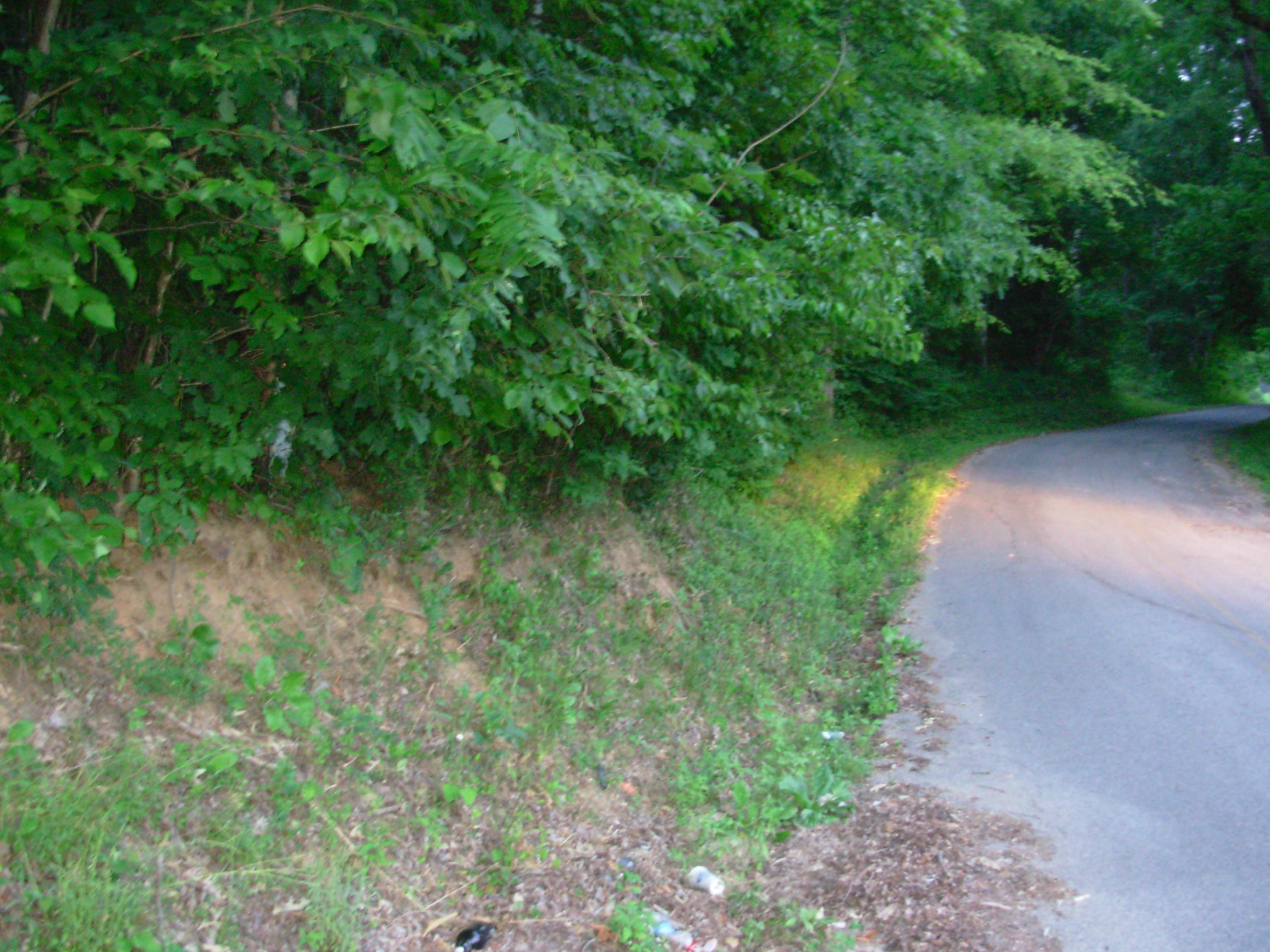 1394 Dry Fork Valley Road Philadelphia, TN 37846 - Photo 9 of 15 land pics 039