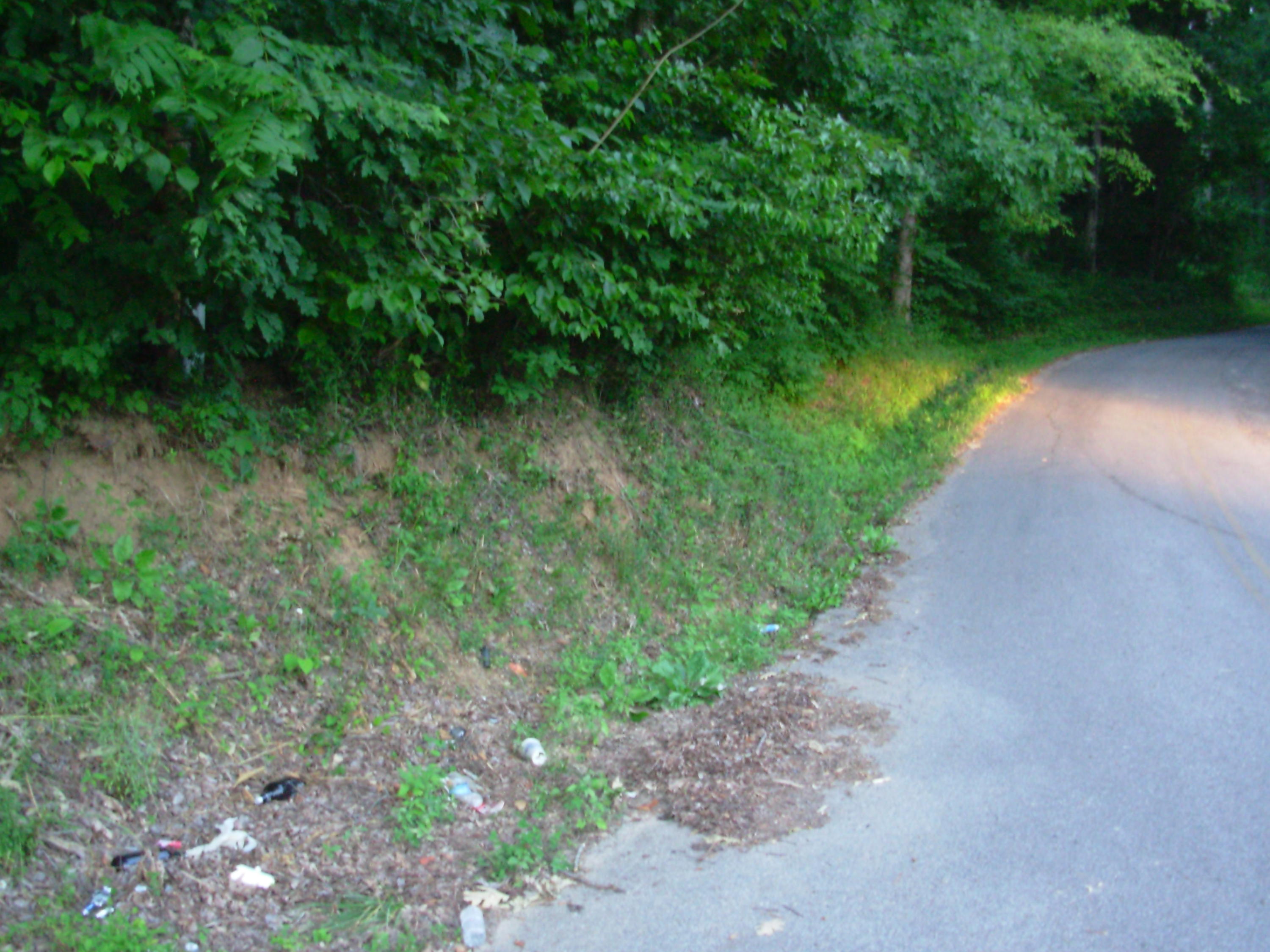 1394 Dry Fork Valley Road Philadelphia, TN 37846 - Photo 10 of 15 land pics 041 (2)