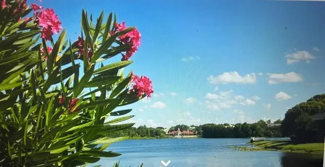 a picture of flowers