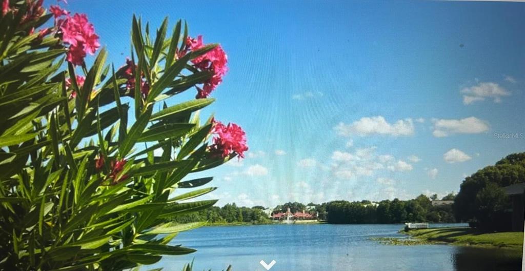 238 Afton Square, Unit 305 Altamonte Springs, FL 32714 - Photo 13 of 13 a picture of flowers