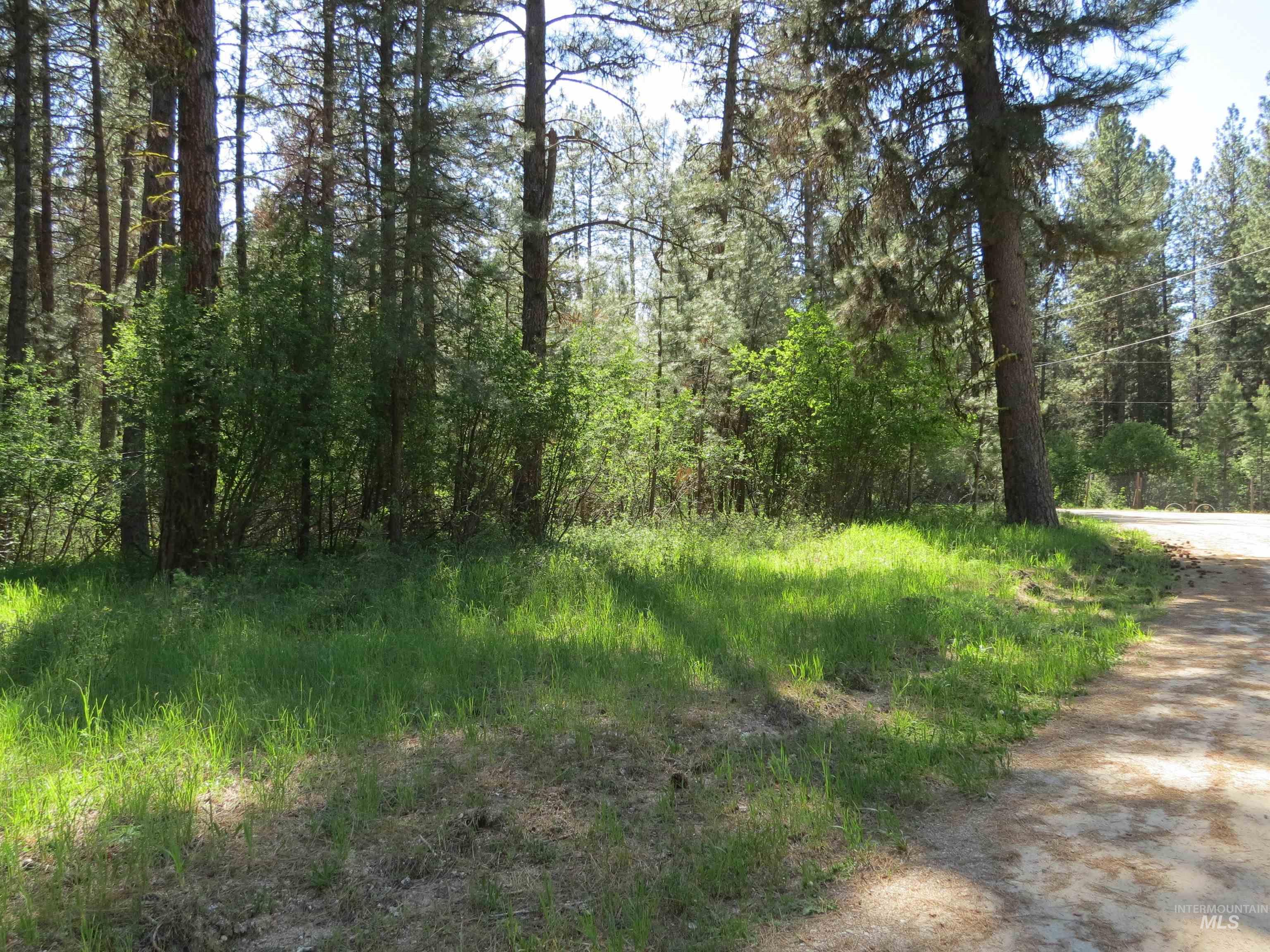 Parcel C Caseys Road Garden Valley, ID 83622 - Photo 3 of 20