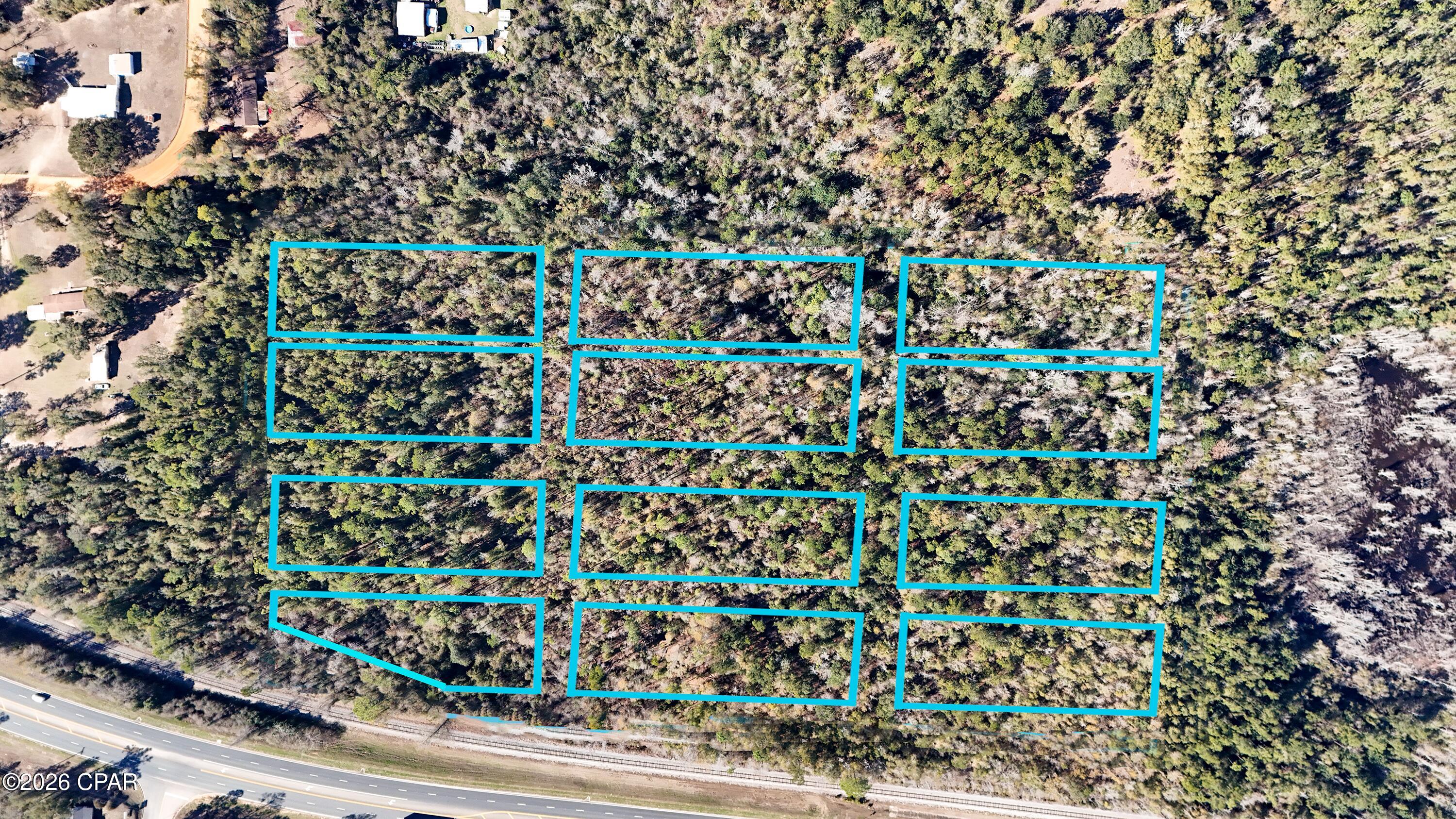 0 White Pond Church Road Alford, FL 32420 - Photo 3 of 5